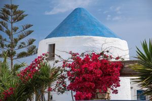 Paros - Eilandhoppen Griekenland: Parels van de Cycladen