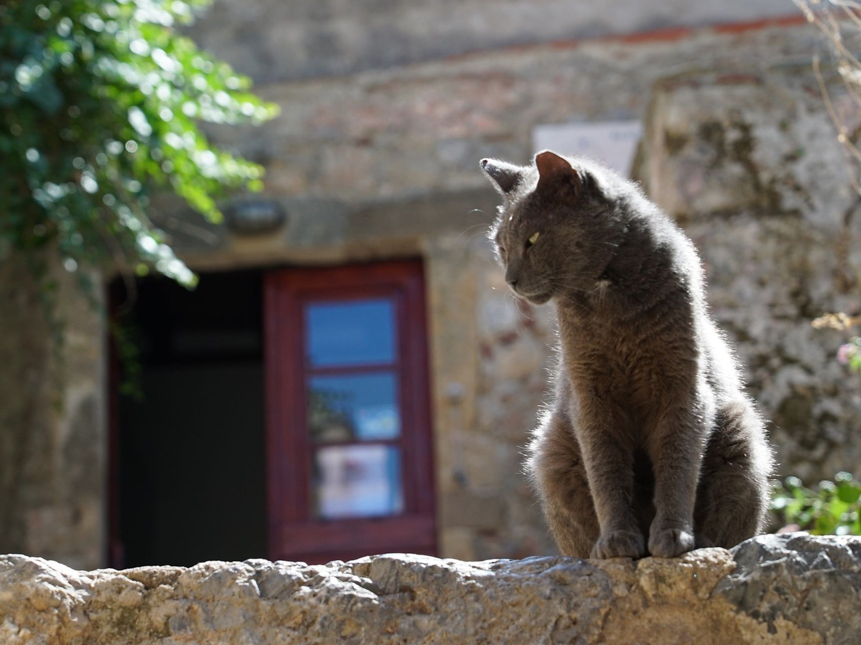 Even genieten tijdens uw fly-drive Griekenland